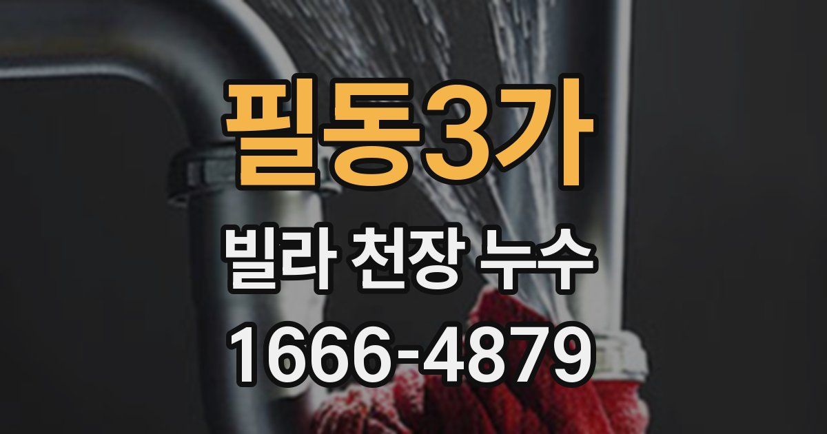 필동3가 빌라 천장 누수