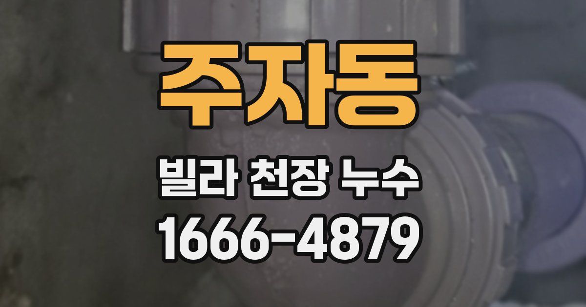 주자동 빌라 천장 누수
