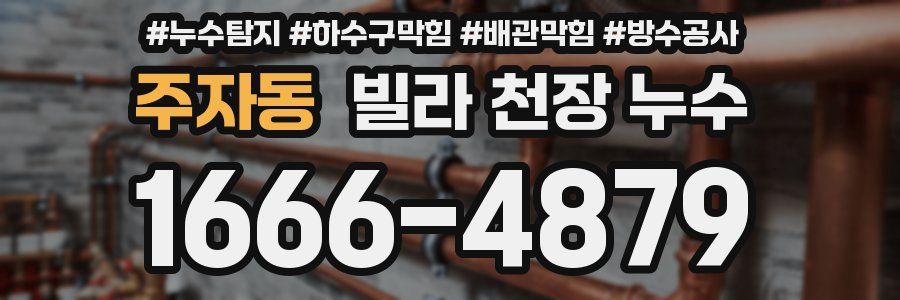 주자동 빌라 천장 누수
