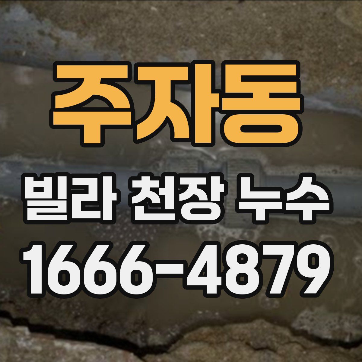 주자동 빌라 천장 누수