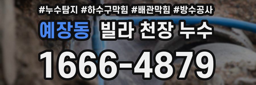 예장동 빌라 천장 누수