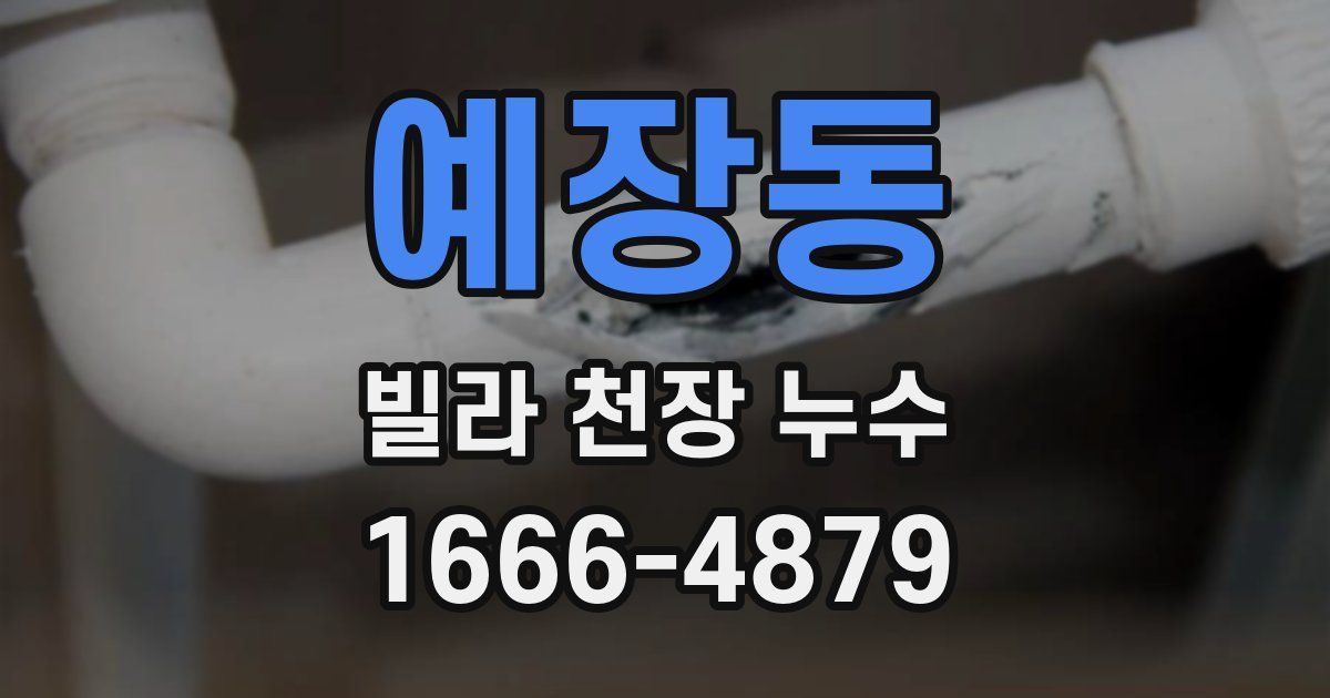 예장동 빌라 천장 누수