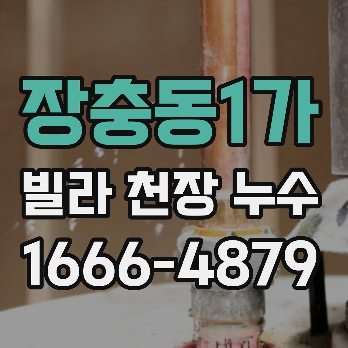 장충동1가 빌라 천장 누수