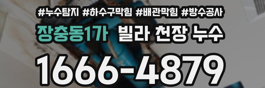 장충동1가 빌라 천장 누수