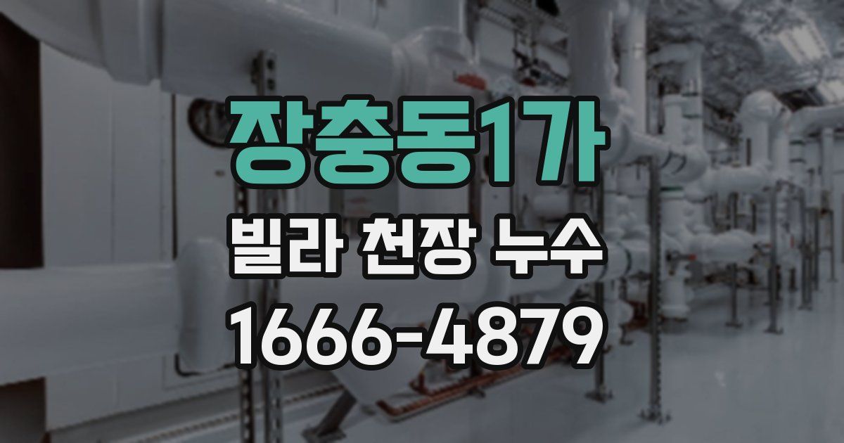 장충동1가 빌라 천장 누수