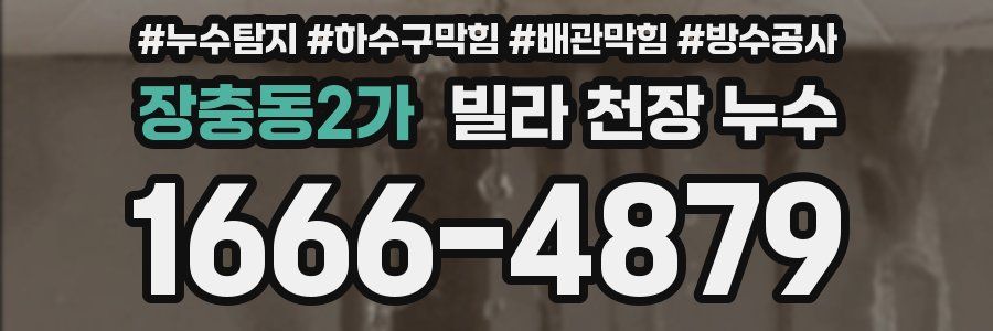장충동2가 빌라 천장 누수