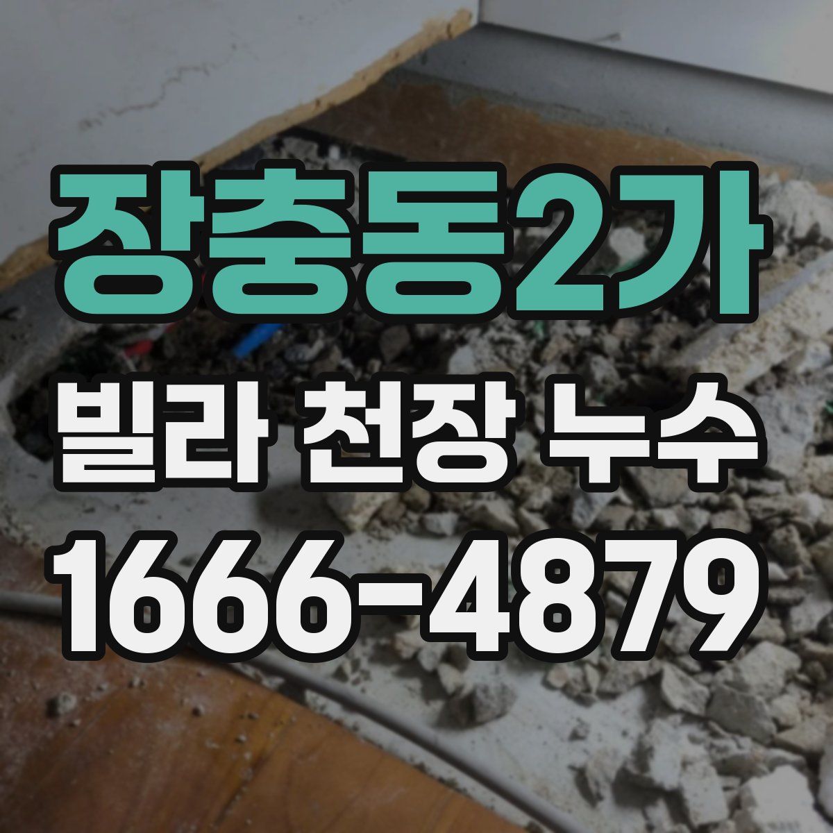 장충동2가 빌라 천장 누수