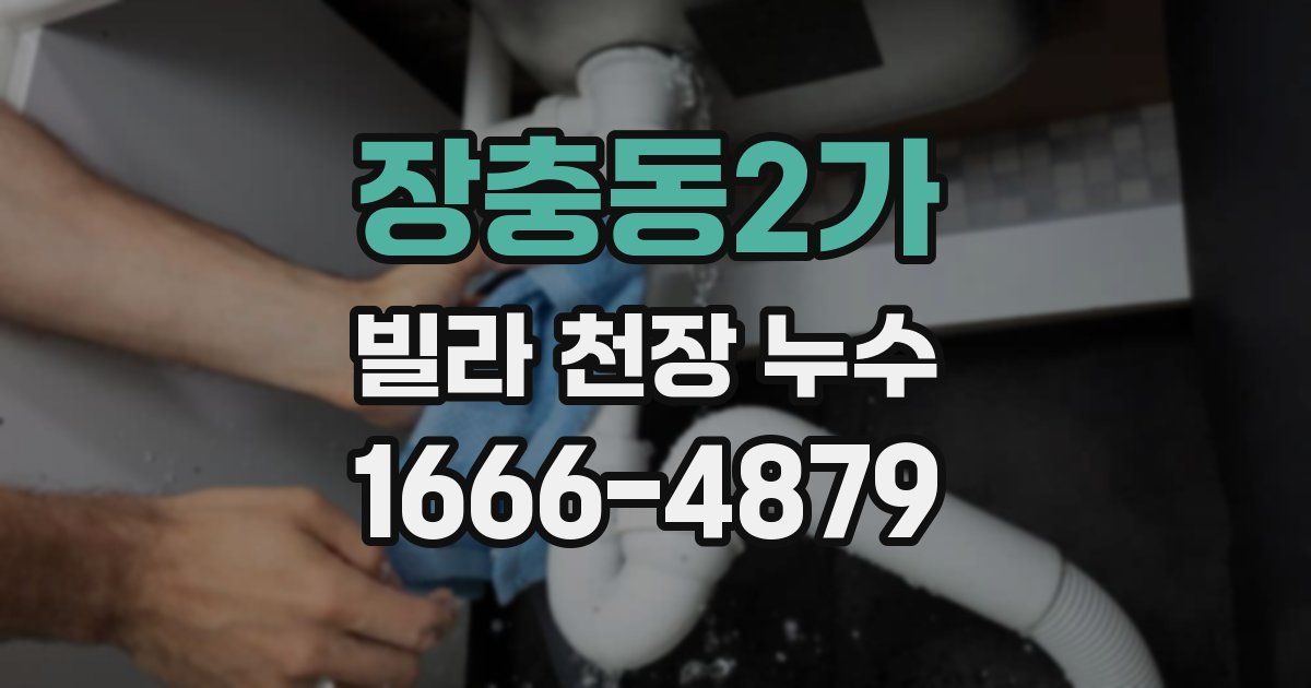 장충동2가 빌라 천장 누수