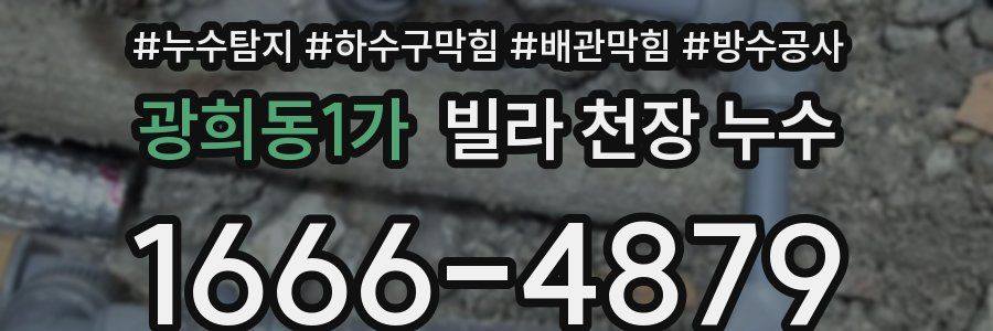 광희동1가 빌라 천장 누수