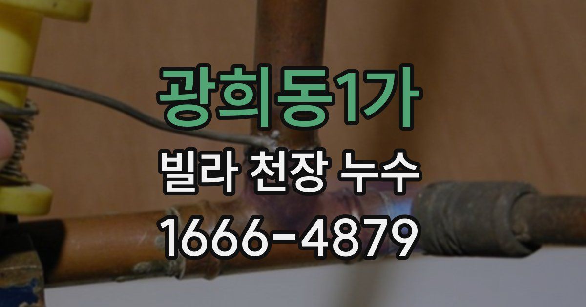 광희동1가 빌라 천장 누수