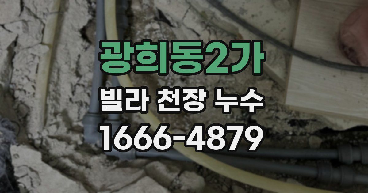 광희동2가 빌라 천장 누수