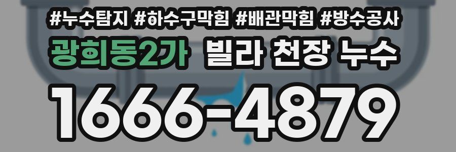 광희동2가 빌라 천장 누수