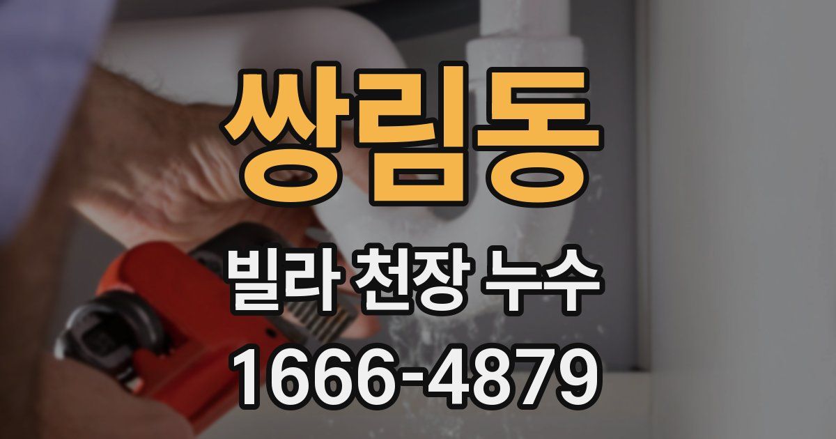 쌍림동 빌라 천장 누수