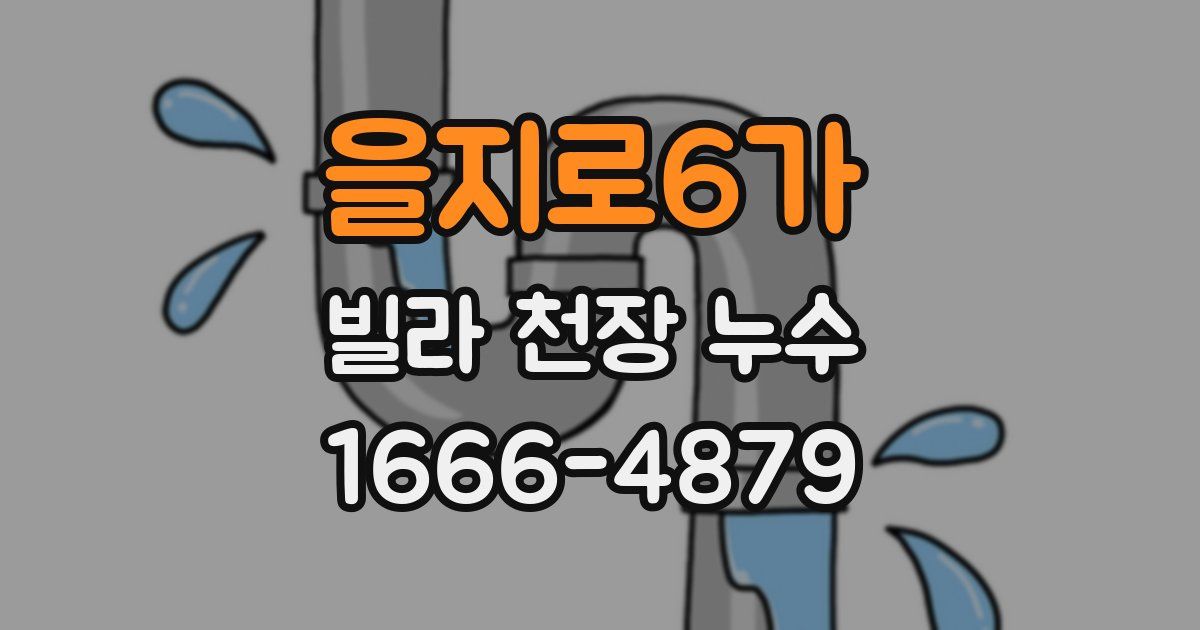 을지로6가 빌라 천장 누수