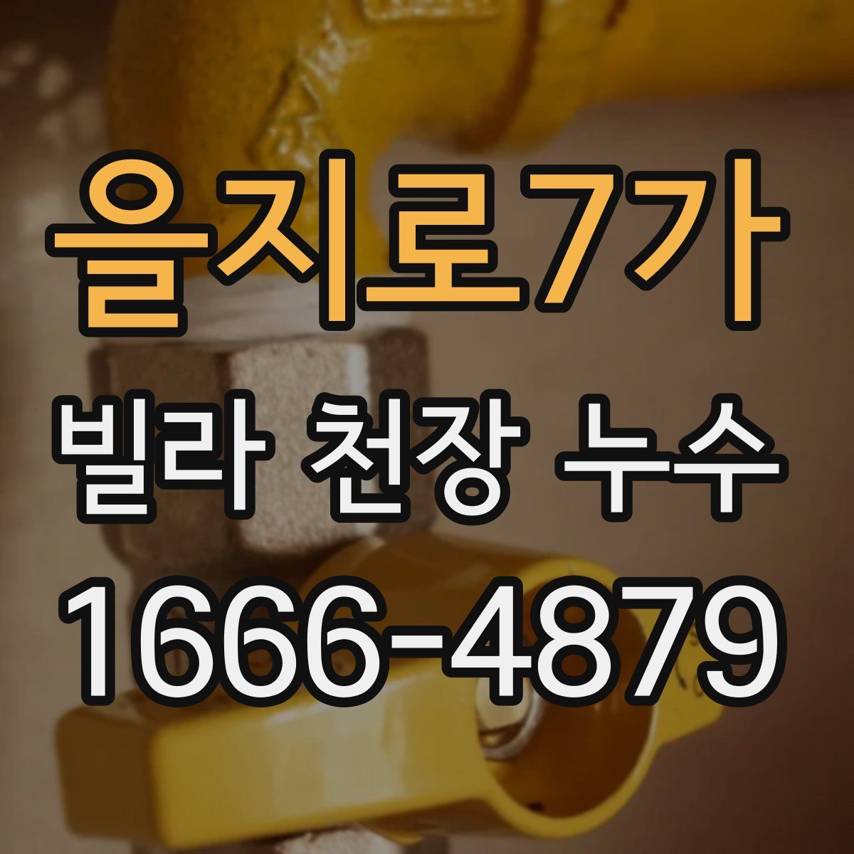 을지로7가 빌라 천장 누수