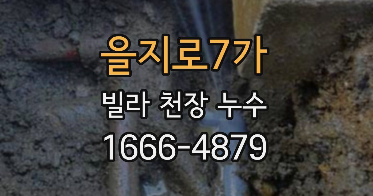 을지로7가 빌라 천장 누수