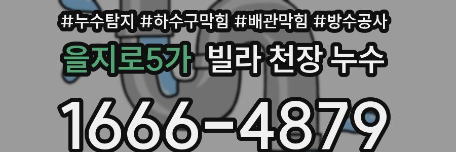 을지로5가 빌라 천장 누수