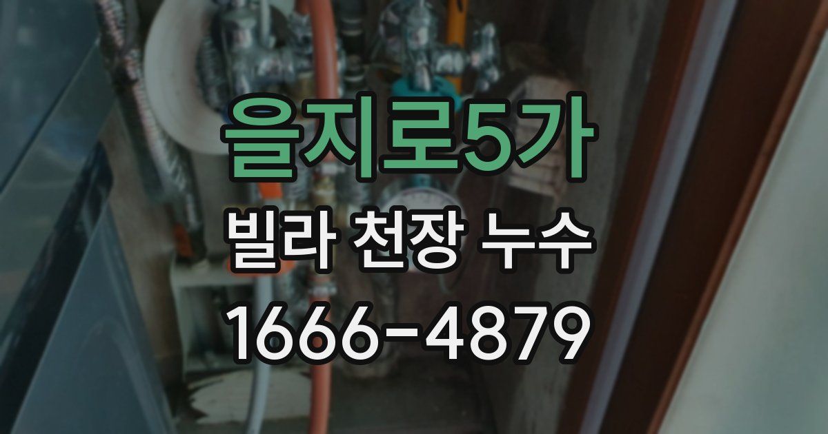 을지로5가 빌라 천장 누수