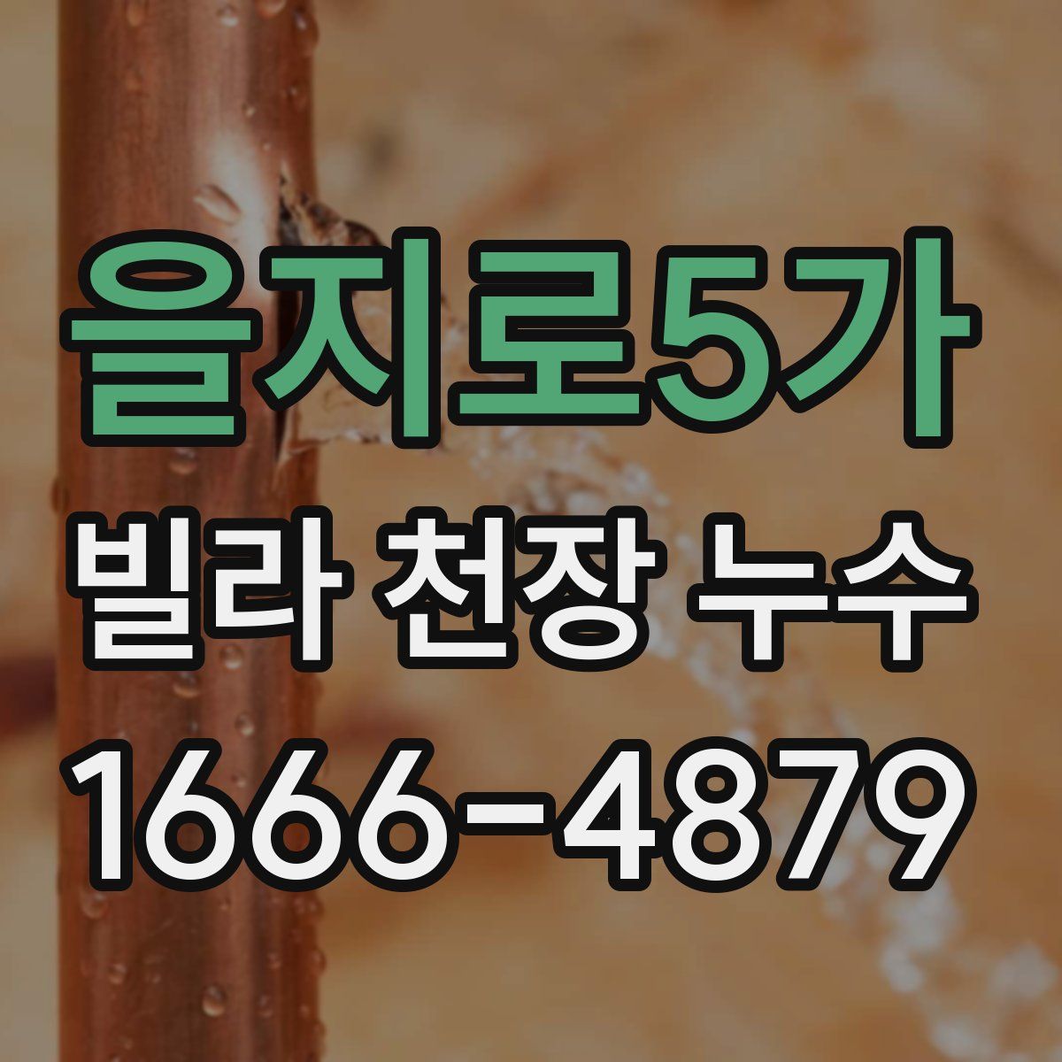 을지로5가 빌라 천장 누수