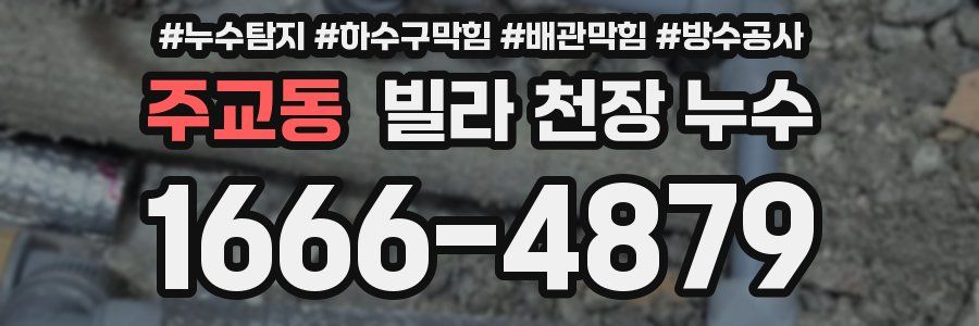 주교동 빌라 천장 누수