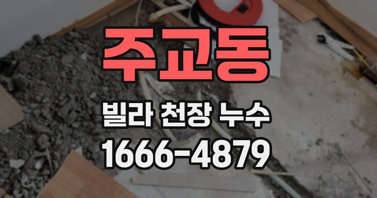 주교동 빌라 천장 누수