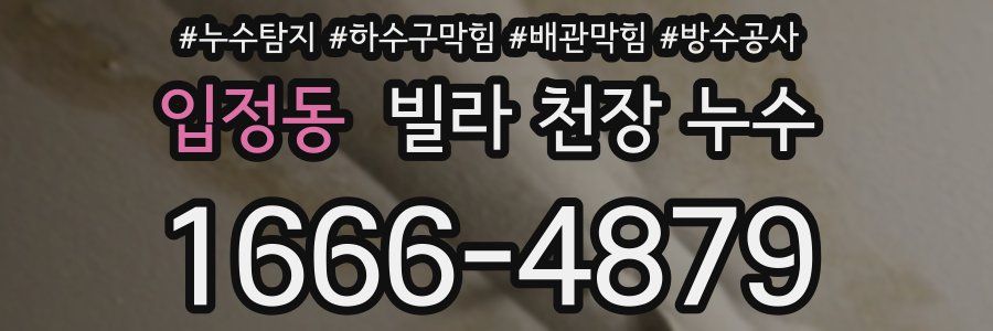 입정동 빌라 천장 누수