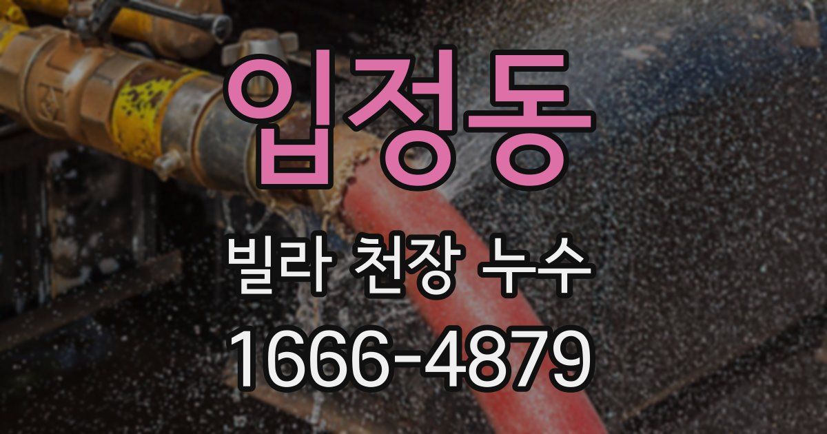 입정동 빌라 천장 누수
