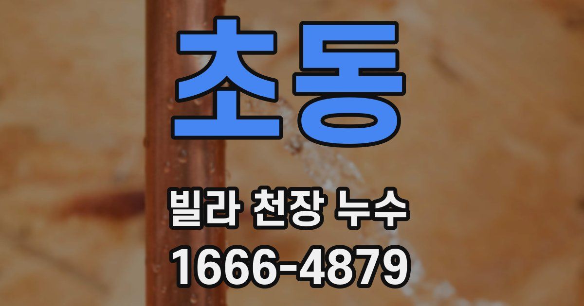 초동 빌라 천장 누수