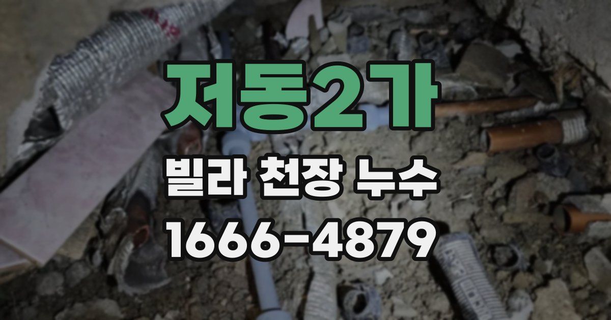 저동2가 빌라 천장 누수