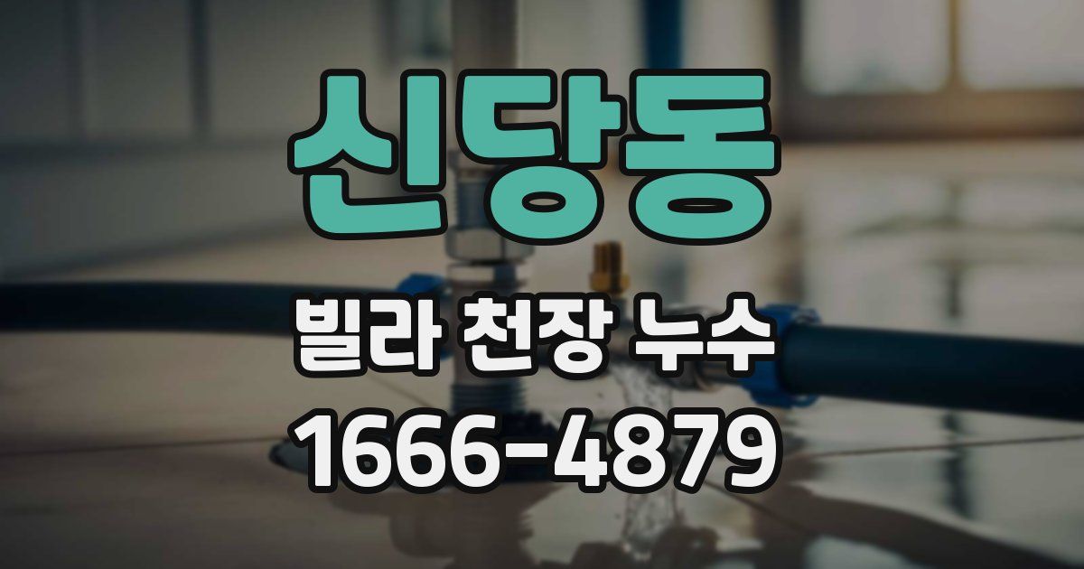 신당동 빌라 천장 누수