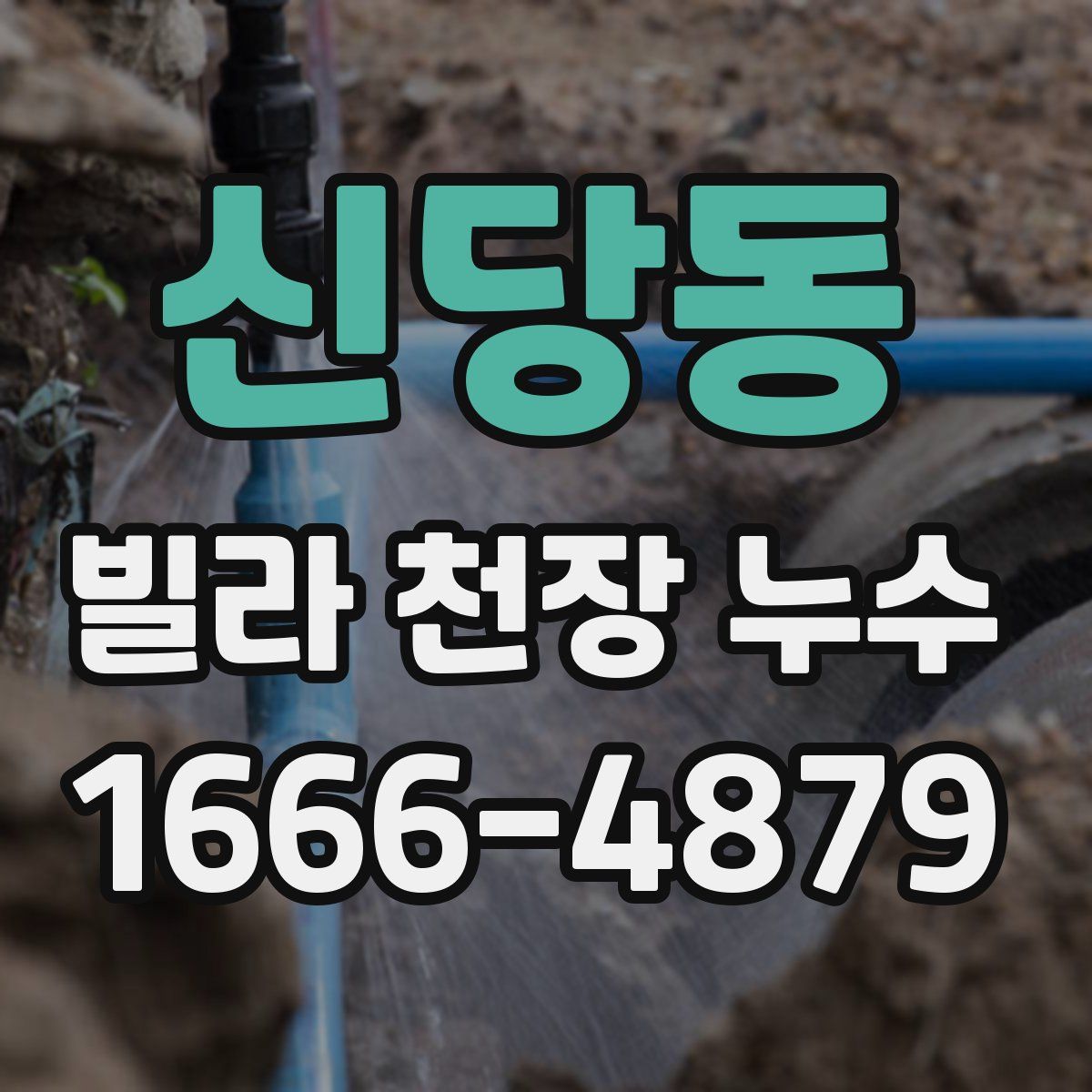 신당동 빌라 천장 누수