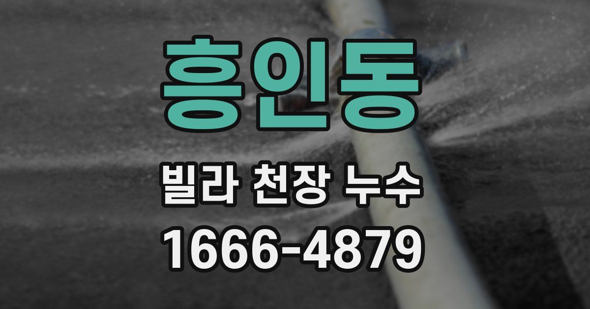 흥인동 빌라 천장 누수