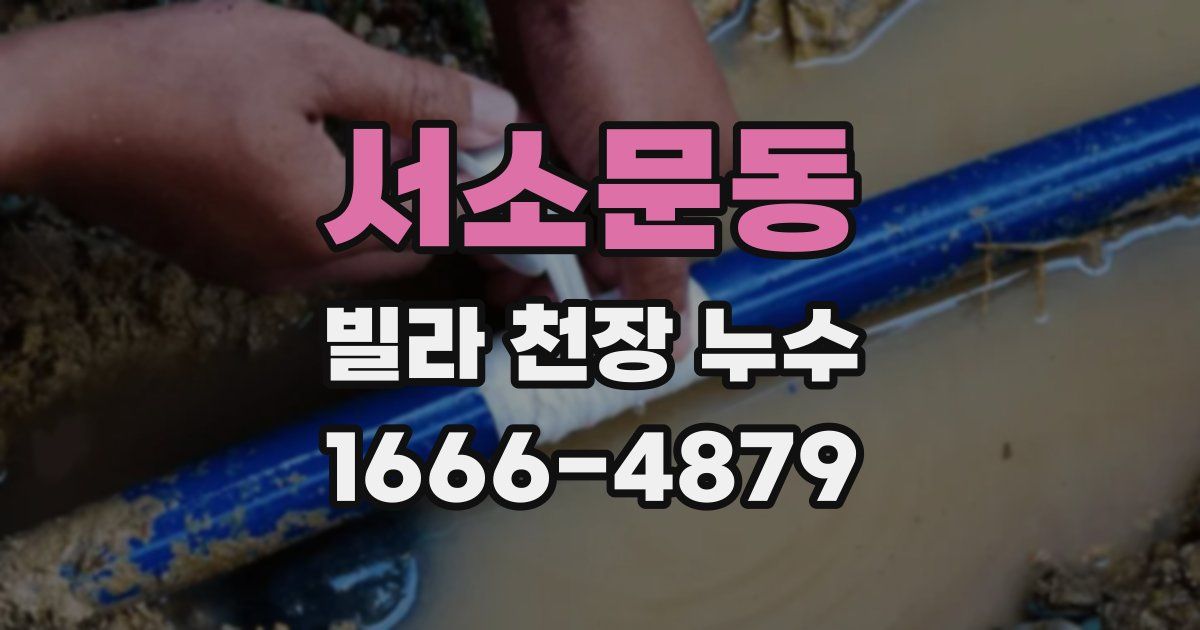 서소문동 빌라 천장 누수