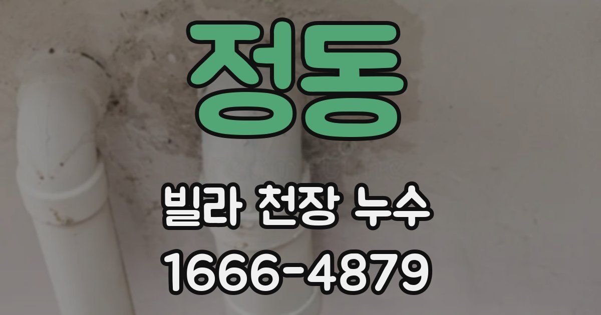 정동 빌라 천장 누수