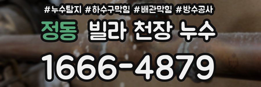 정동 빌라 천장 누수