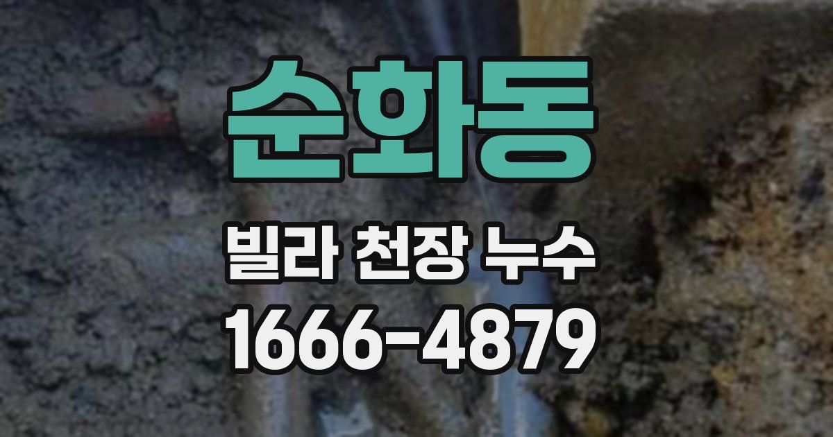 순화동 빌라 천장 누수