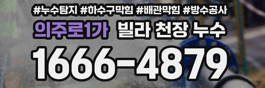 의주로1가 빌라 천장 누수