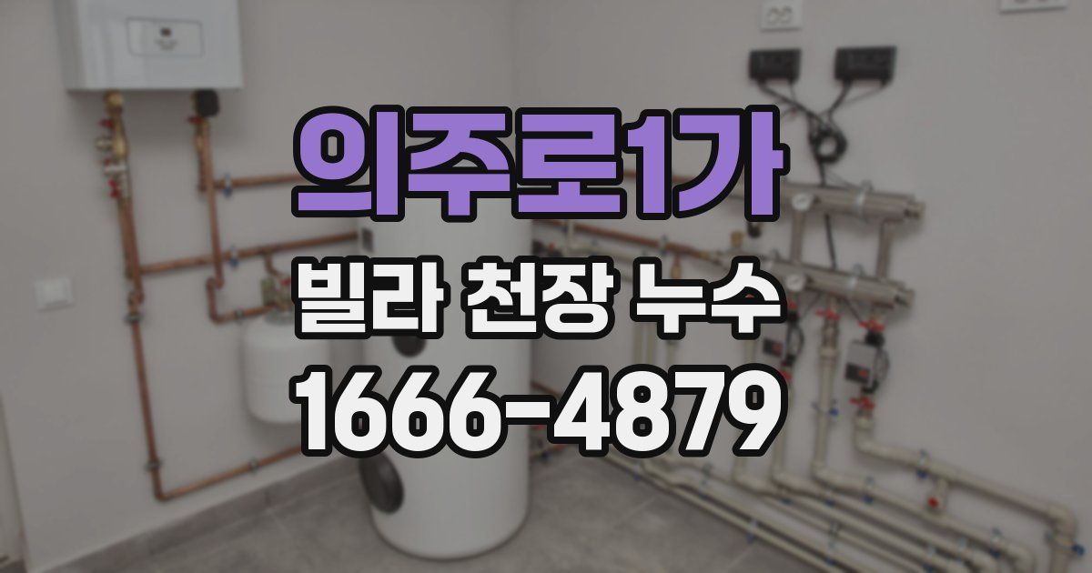의주로1가 빌라 천장 누수