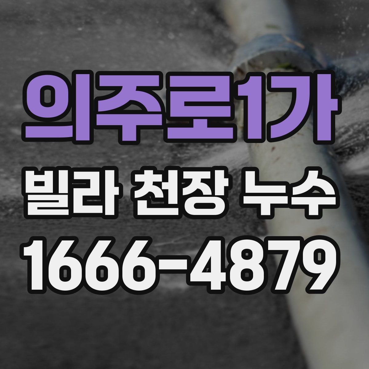 의주로1가 빌라 천장 누수