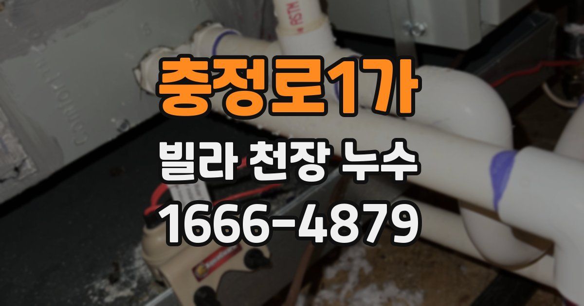 충정로1가 빌라 천장 누수