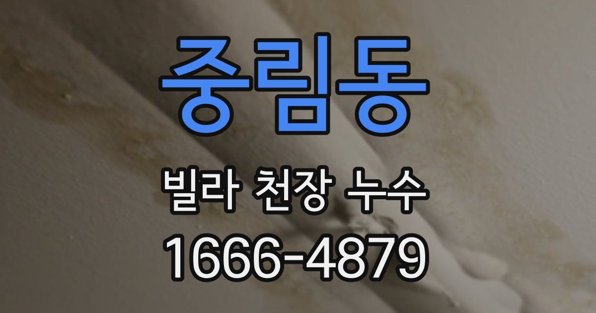 중림동 빌라 천장 누수