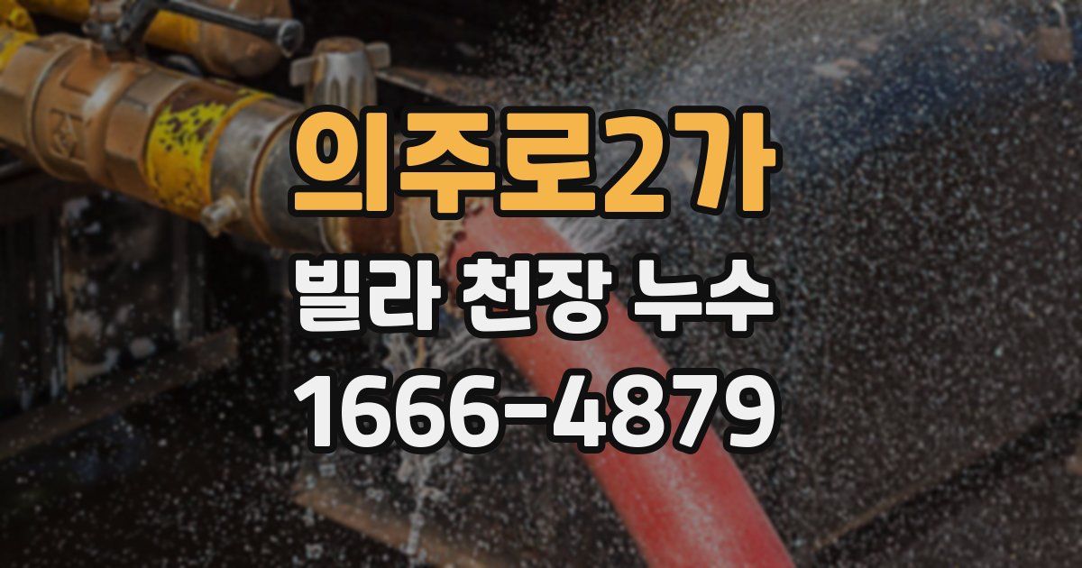의주로2가 빌라 천장 누수