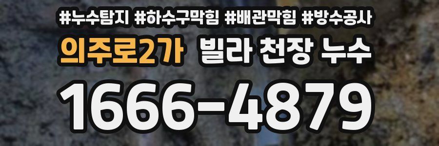 의주로2가 빌라 천장 누수