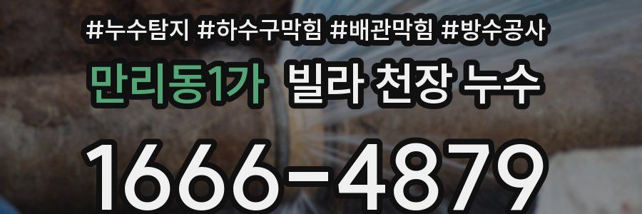 만리동1가 빌라 천장 누수