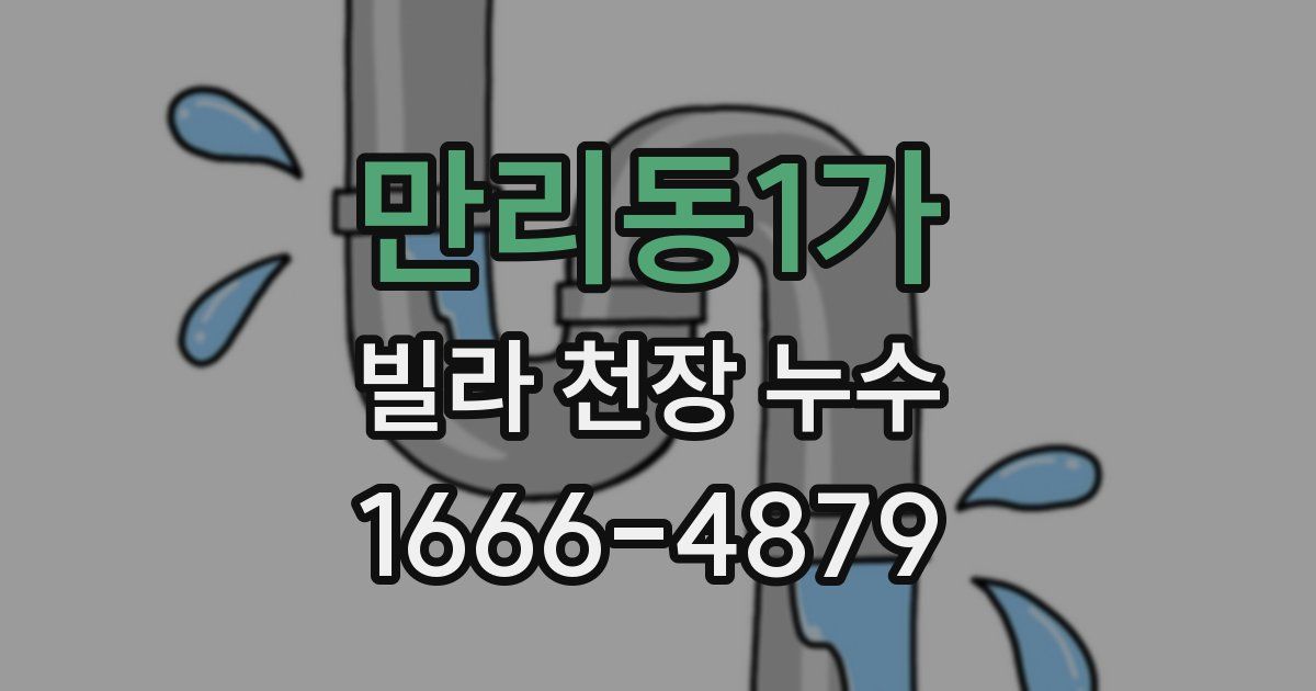 만리동1가 빌라 천장 누수