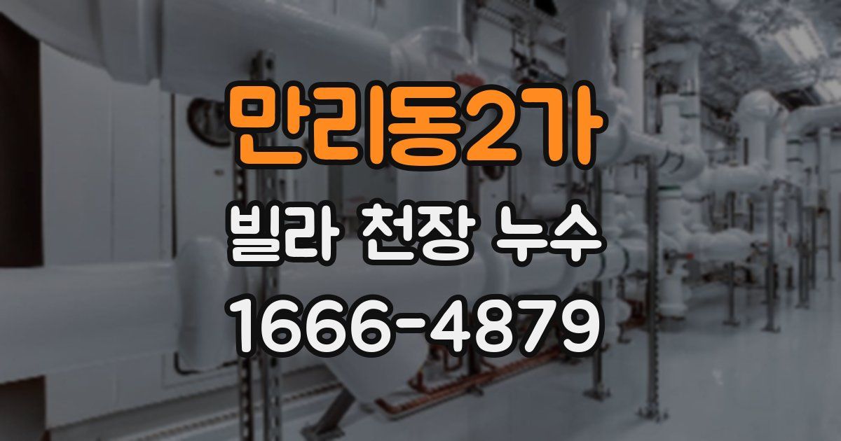 만리동2가 빌라 천장 누수