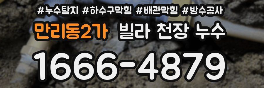 만리동2가 빌라 천장 누수
