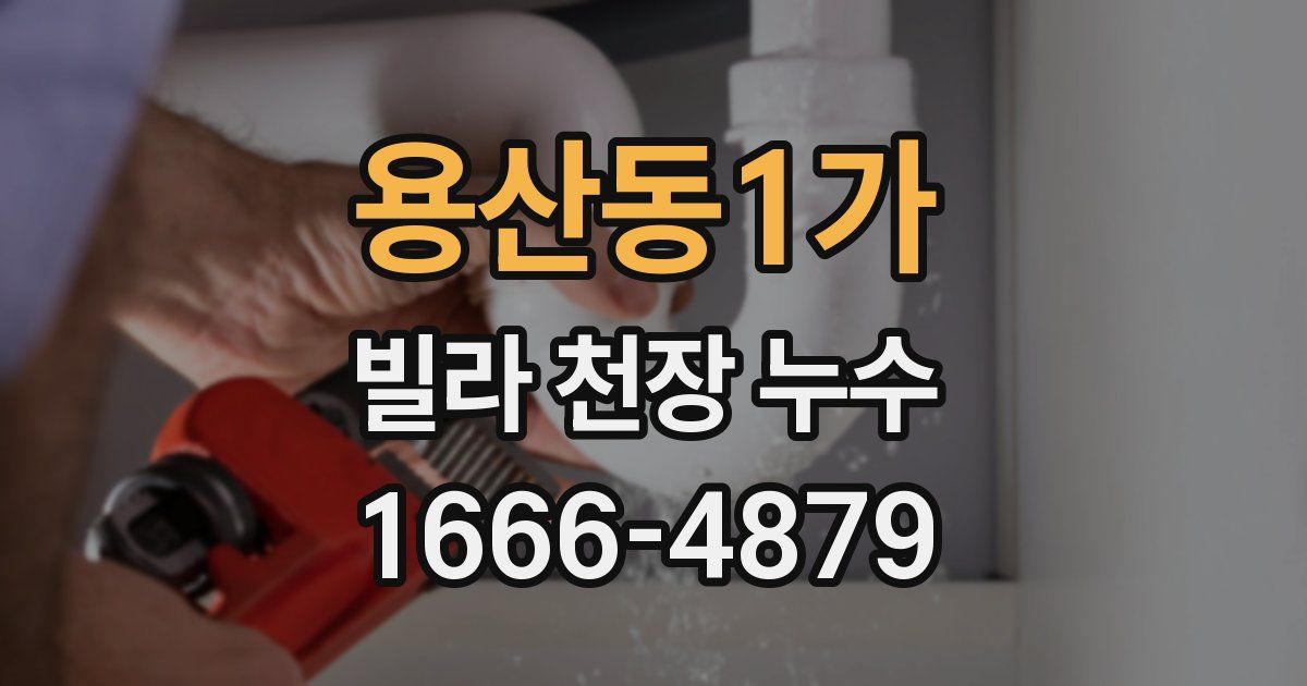 용산동1가 빌라 천장 누수