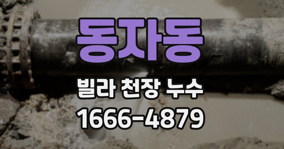 동자동 빌라 천장 누수