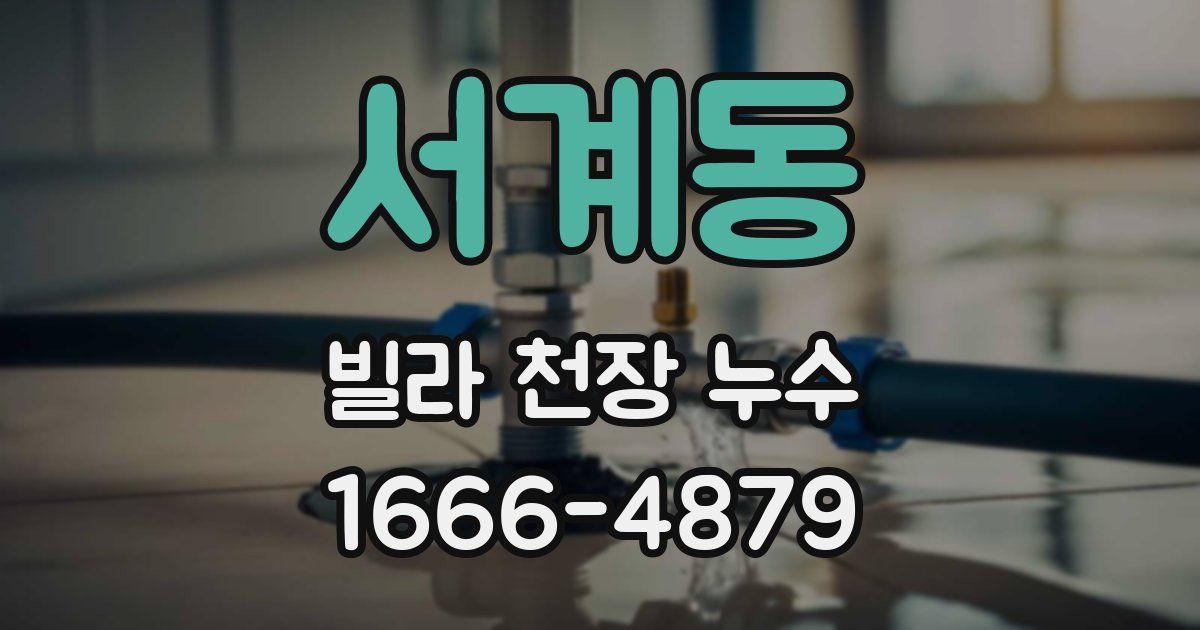 서계동 빌라 천장 누수